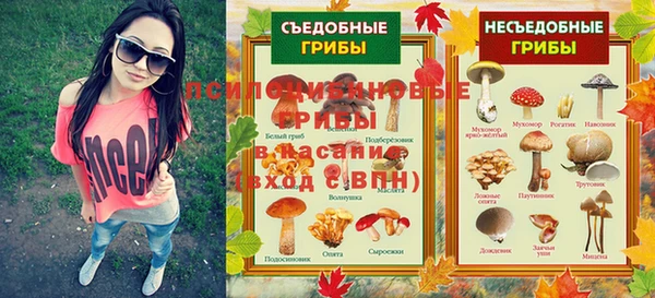прущий лед Алзамай