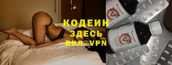 прущий лед Алзамай