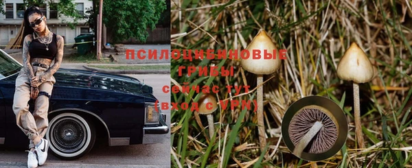 прущий лед Алзамай