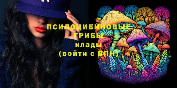 прущий лед Алзамай