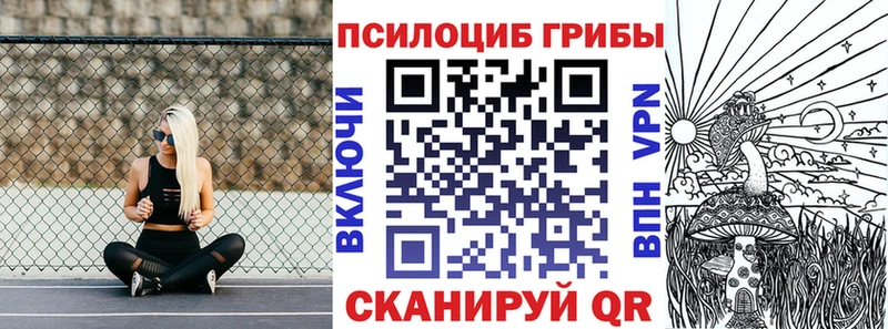 МЕГА как войти  darknet как зайти  Псилоцибиновые грибы Magic Shrooms  наркотики  Бердск 