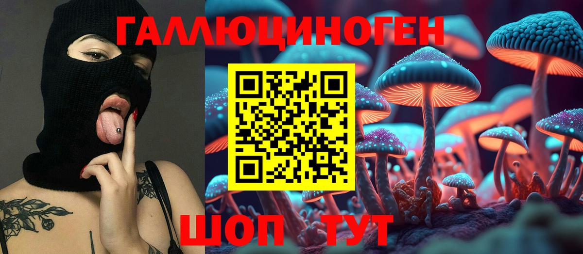 Галлюциногенные грибы Magic Shrooms Бердск