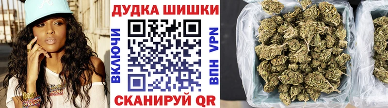 blacksprut   Бердск  Конопля SATIVA & INDICA  где купить наркотик 